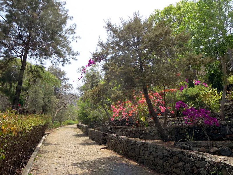 Jardim Botanico Nacional Grandvaux Barbosa, the only botanical garden in Cape Verde, located in Sao Jorge dos Orgaos.